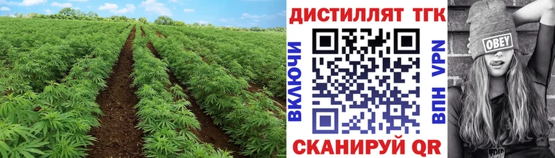 ТГК Wax  Набережные Челны 