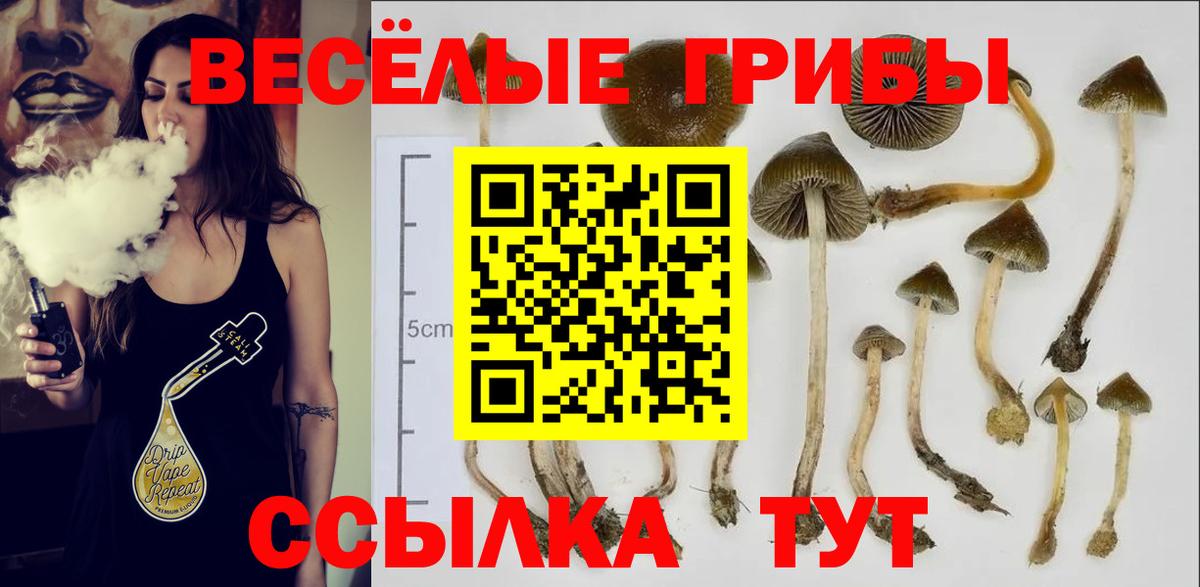 Галлюциногенные грибы ЛСД  Псилоцибиновые грибы мухоморы  Вход с VPN  Набережные Челны 